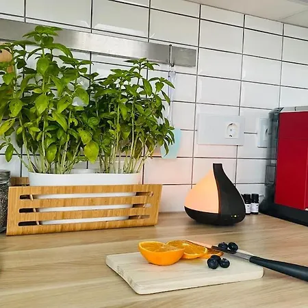 Park Lejlighed Vilnius